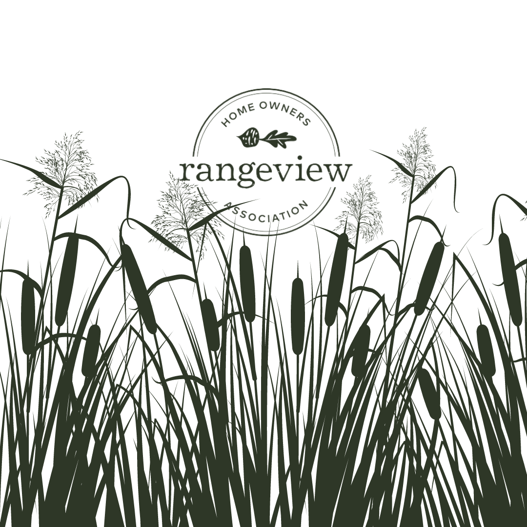 Rainwater Harvesting and the Reconstructed Wetland in Rangeview