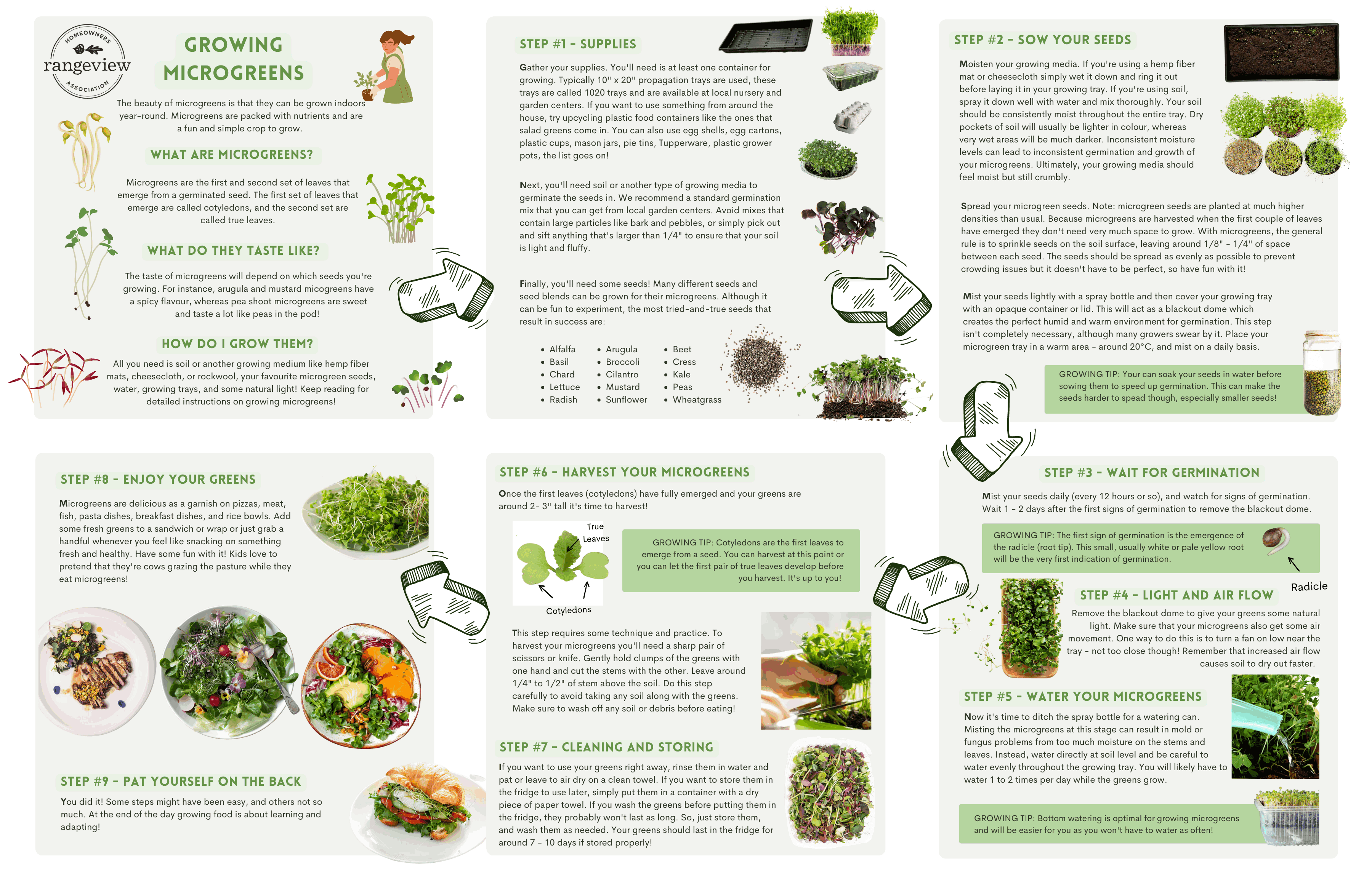 The RHOA’s Guide to Growing Microgreens